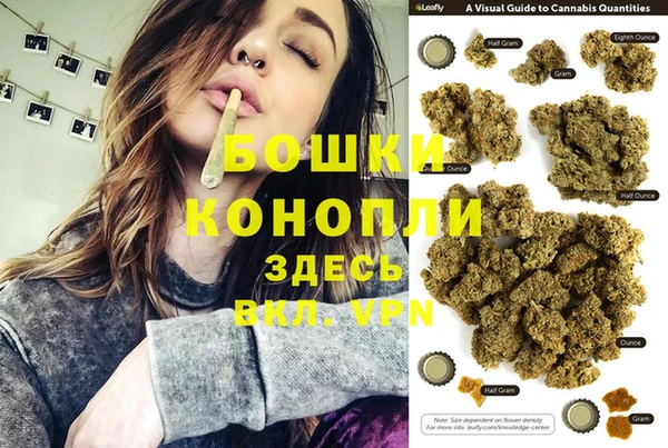 сатива Навашино