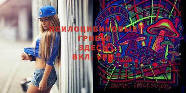 бошки Алзамай